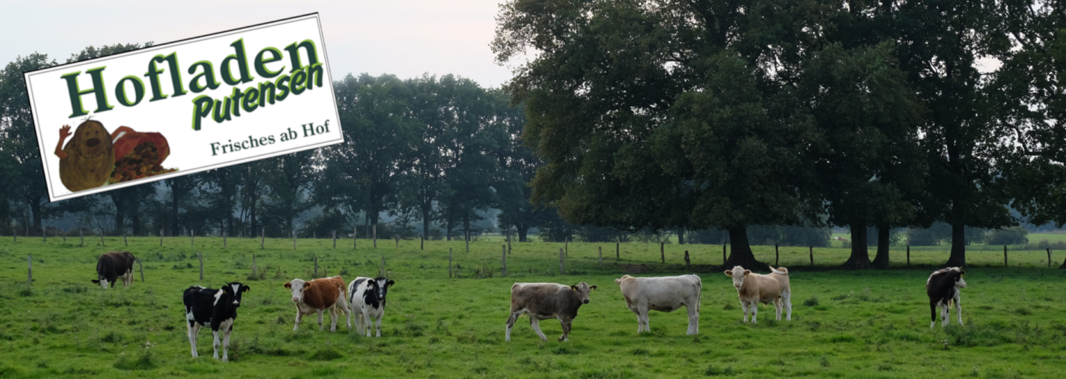 HofladenPutensen Frisches Obst, Gemüse und Fleisch aus der Region